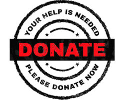 Donate_now